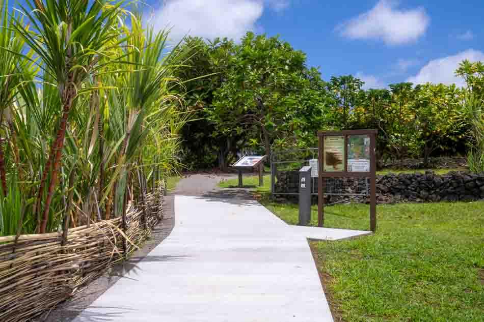Amy Greenwell Ethnobotanical Garden in Captain Cook Hi
